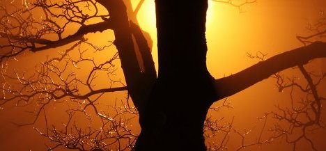 Free Stock Photos