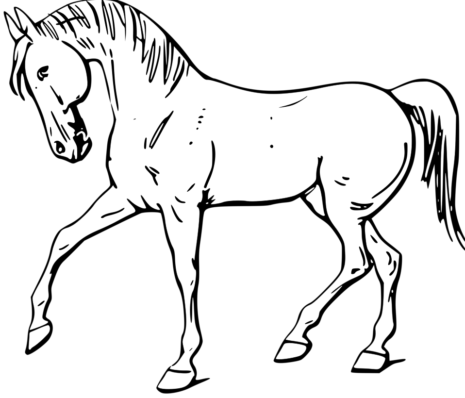 horse clip art black and white - photo #9
