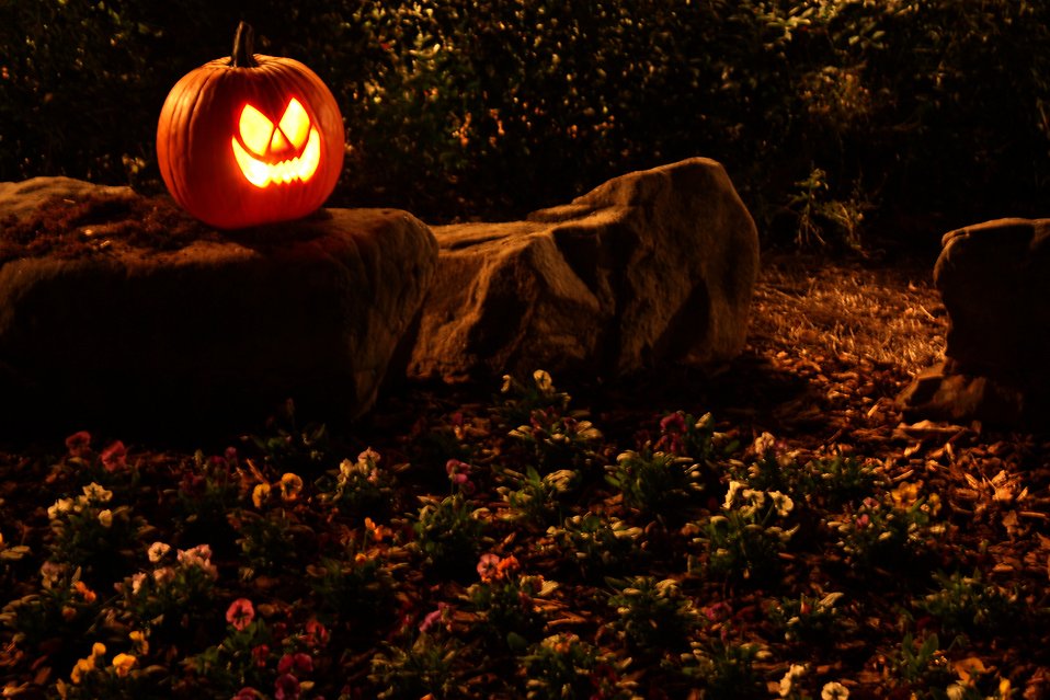 A Halloween jack-o-lantern on a rock.