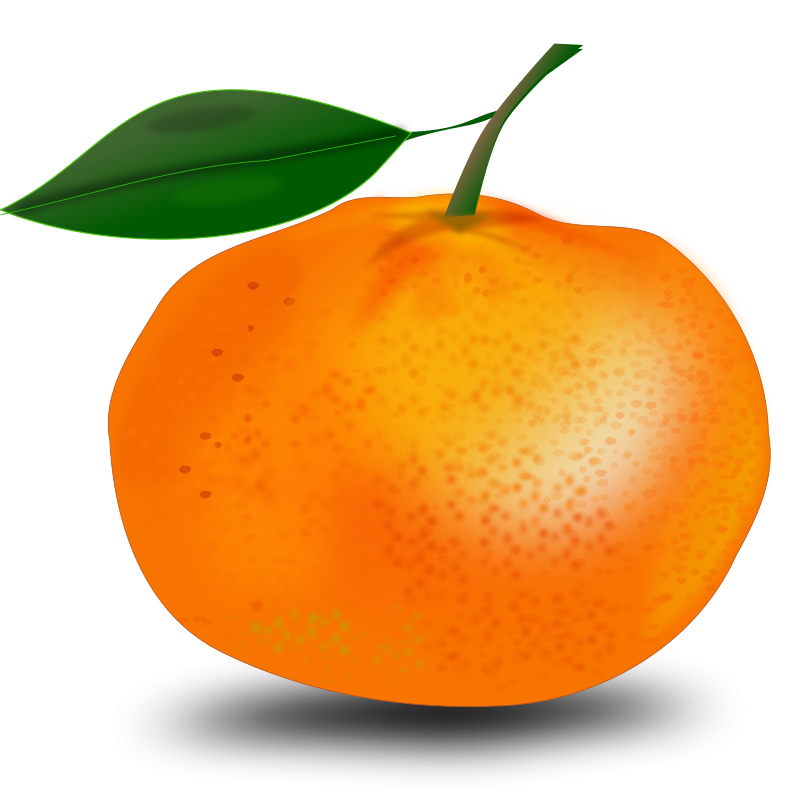 free clipart orange fruit - photo #31