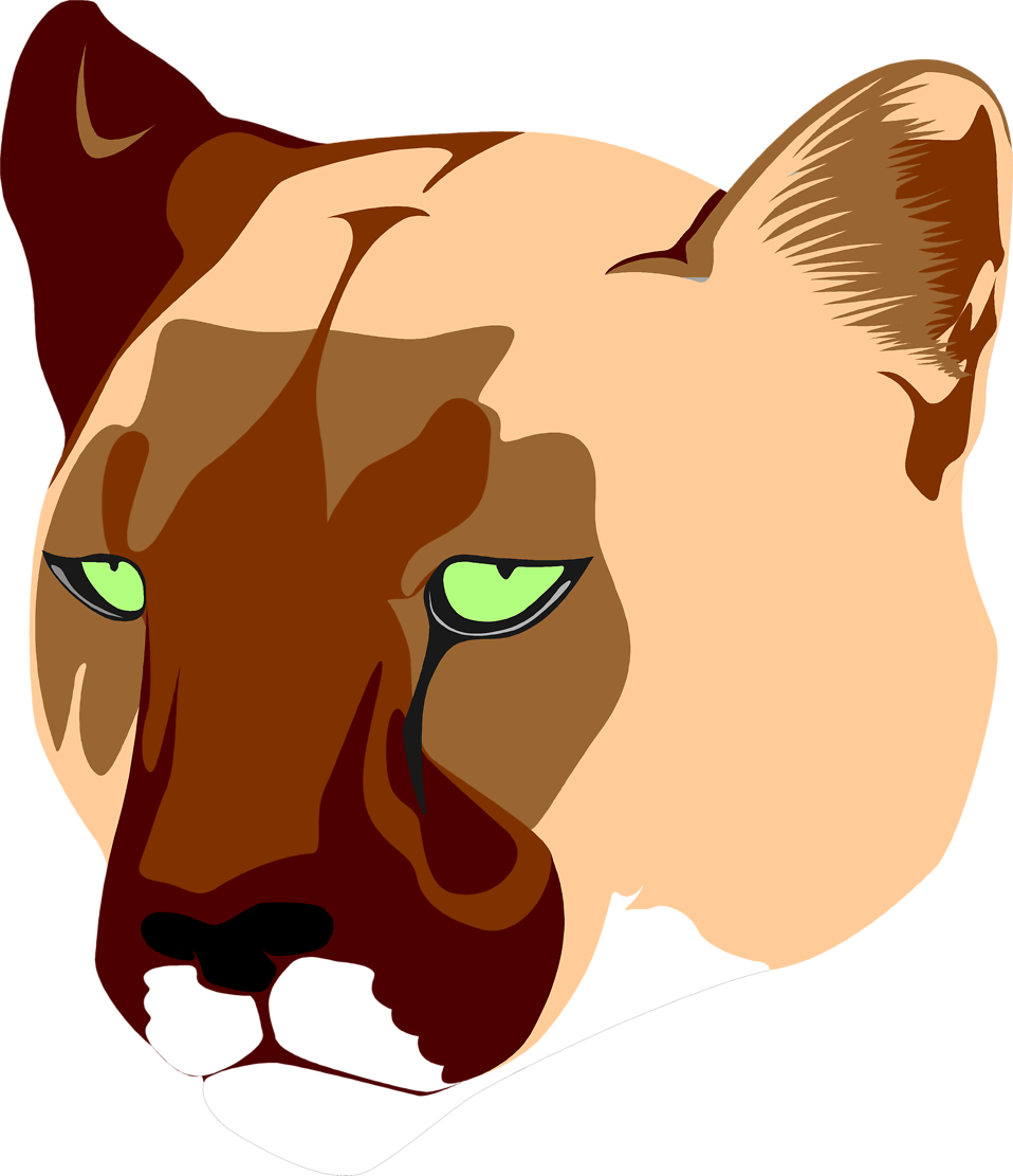 clip art lion head. Illustration of a lioness head