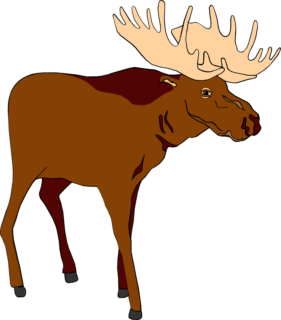 funny moose clipart - photo #5