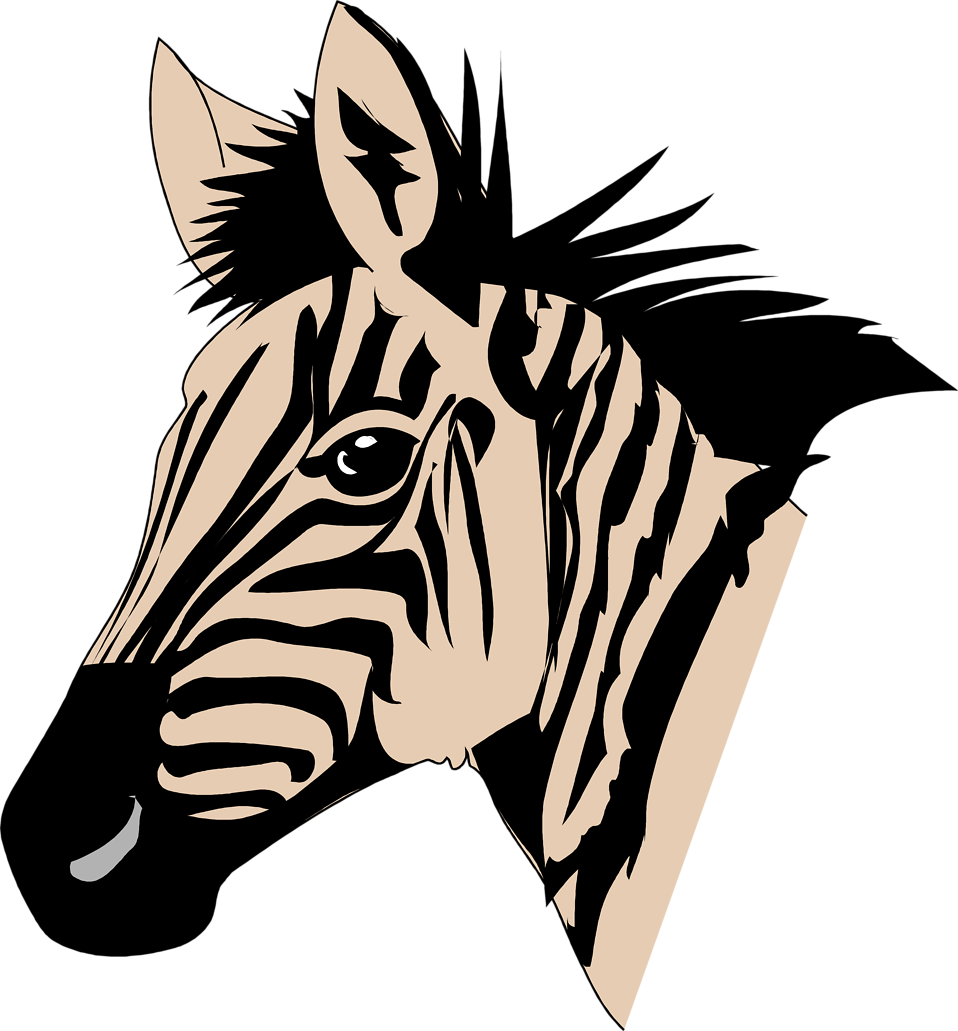 Zebras | Free Stock Photo | Illustration of a zebra head ...