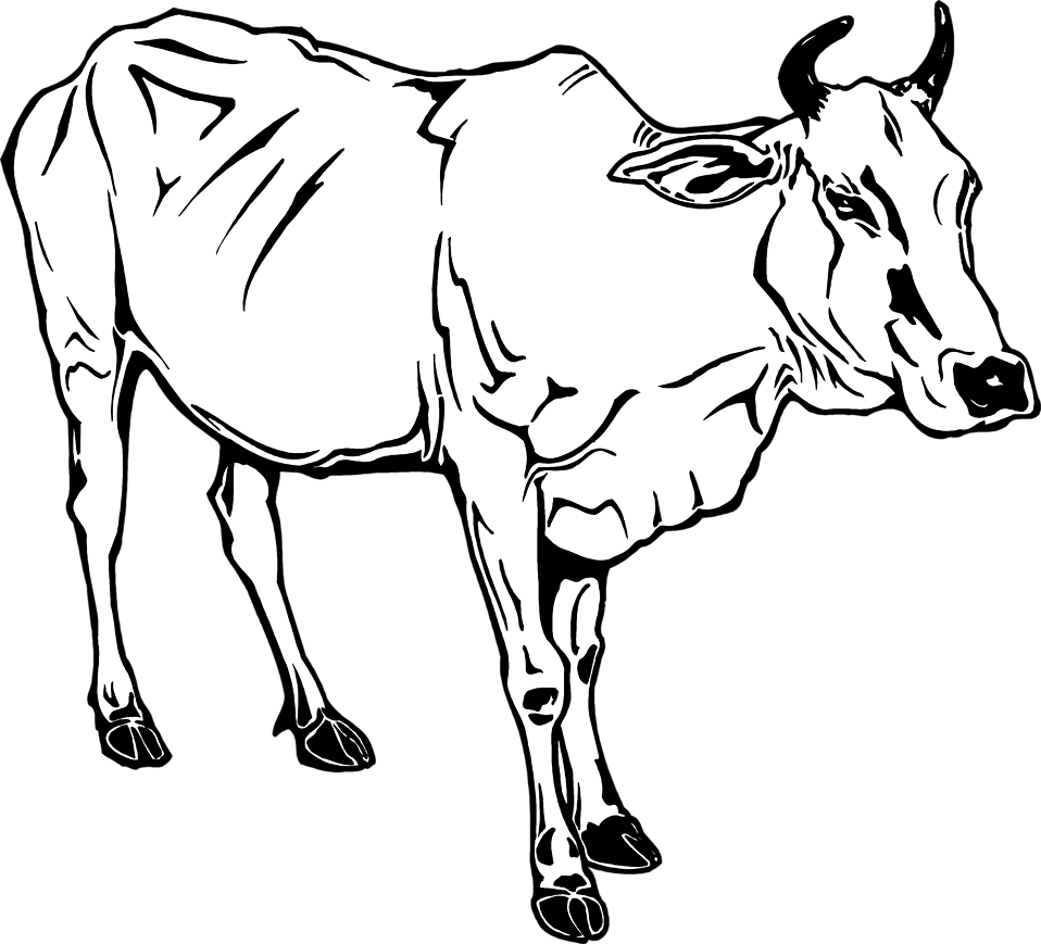 cow clipart black and white - photo #31