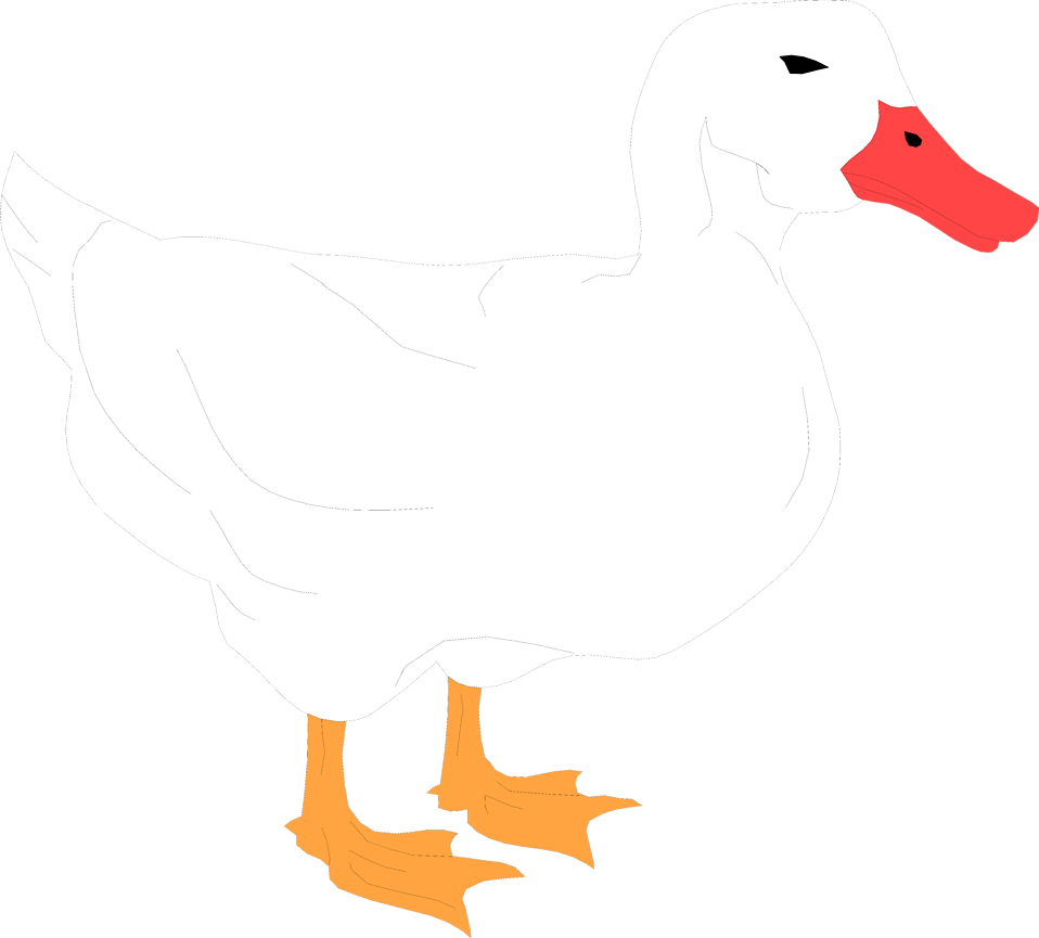 duckling clip art. Illustration of a white duck.