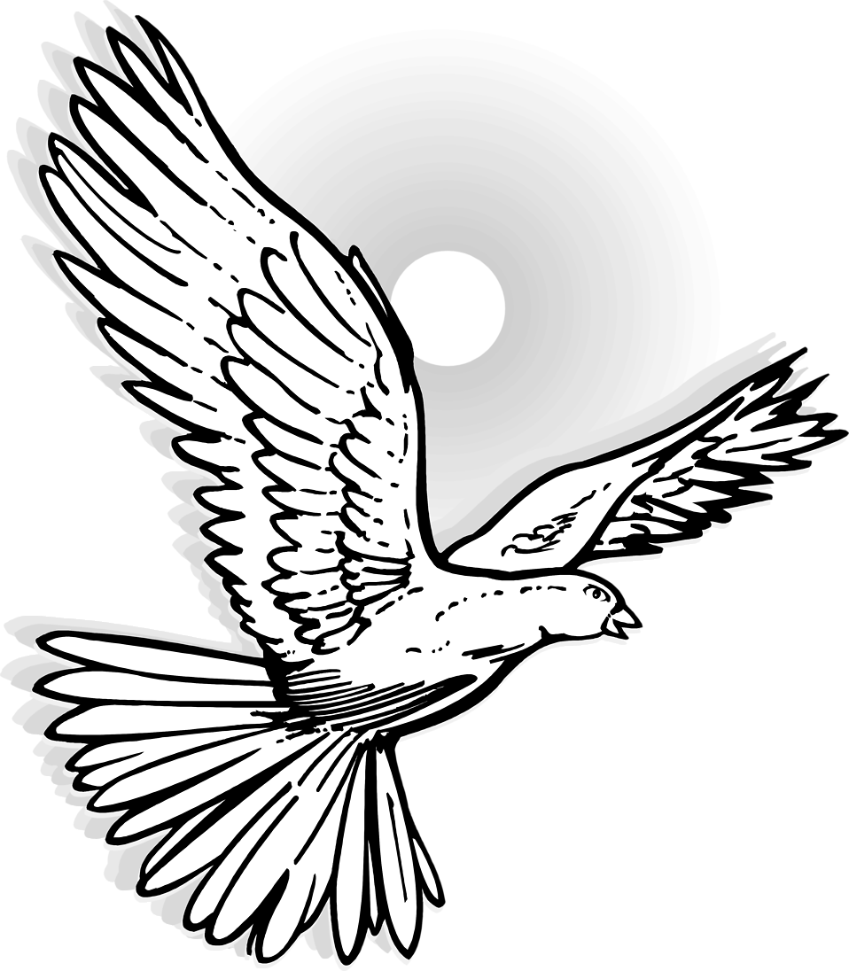 free dove clipart black and white - photo #34