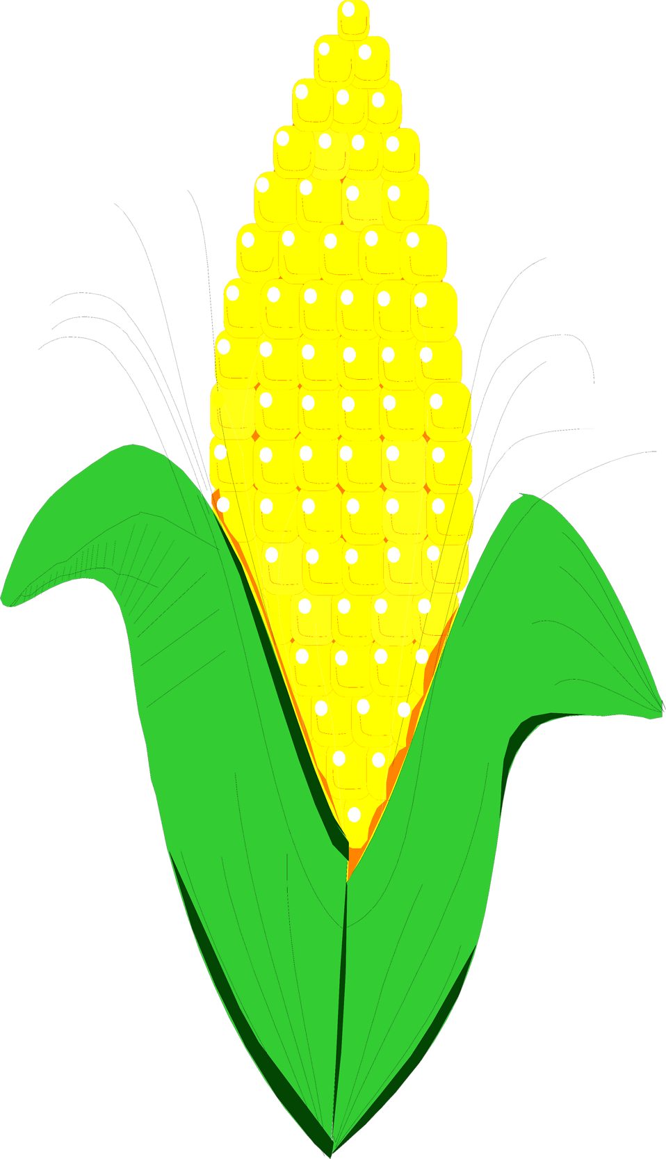 free clipart ear of corn - photo #3