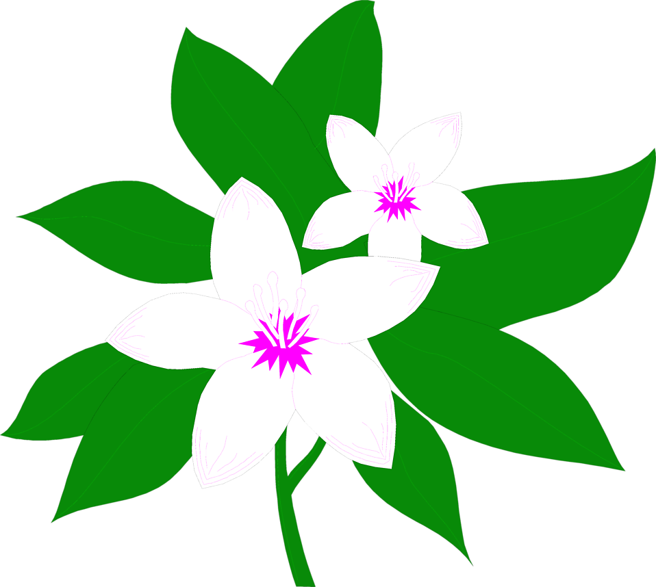 free clip art magnolia flower - photo #47