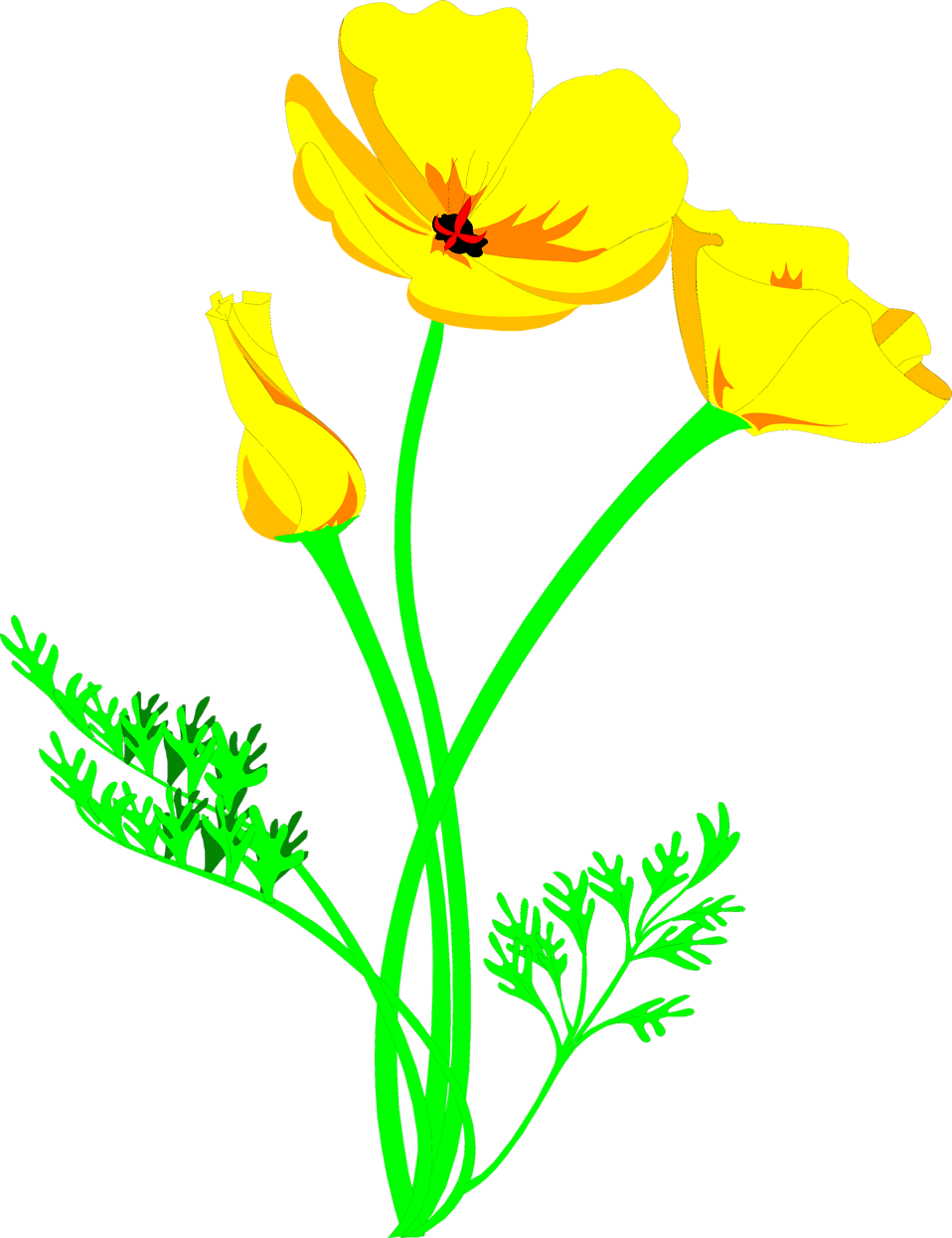clip art poppy flower - photo #17