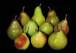 Free Stock Photo: A group of pears isolated on a black background
