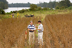 Free Stock Photo: Field scientists taking a soil sample in a field of crops