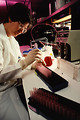 Free Stock Photo: A scientist working in a lab