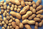 Free Stock Photo: A group of peanuts on a blue background