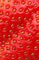 Free Stock Photo: Close-up of a strawberry with seeds