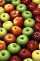 Free Stock Photo: Multiple types of apples lined up in a circular pattern