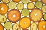 Free Stock Photo: Sliced citrus fruits isolated on a white background