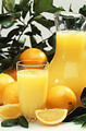 Free Stock Photo: A display of oranges and orange juice