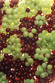 Free Stock Photo: Bunches of green and red grapes