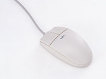 Free Stock Photo: A computer mouse isolated on a white background