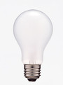 Free Stock Photo: A light bulb isolated on a white background