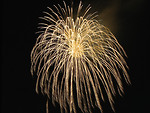 Free Stock Photo: Colorful fireworks in the night sky