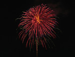 Free Stock Photo: Colorful fireworks in the night sky