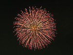 Free Stock Photo: Colorful fireworks in the night sky