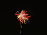 Free Stock Photo: Fireworks in the night sky