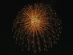 Free Stock Photo: Colorful fireworks in the night sky