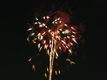 Free Stock Photo: Colorful fireworks in the night sky