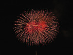 Free Stock Photo: Colorful fireworks in the night sky