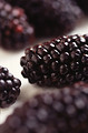 Free Stock Photo: Closeup of blackberries