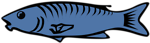 Free Stock Photo: Illustration of a blue fish isolated on a white background