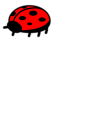 Free Stock Photo: Illustration of a ladybug isolated on a white background