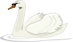 Free Stock Photo: Illustration of a swan swimming