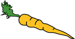 Free Stock Photo: Illustration of a carrot isolated on a white background