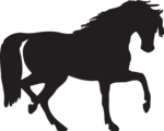 Free Stock Photo: Illustration of a horse silhouette