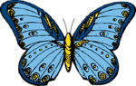 Free Stock Photo: Illustration of a blue butterfly