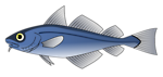 Free Stock Photo: Illustration of a blue codfish
