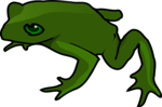 Free Stock Photo: Illustration of a green frog