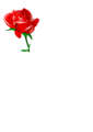 Free Stock Photo: Illustration of a red rose
