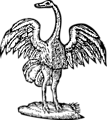 Free Stock Photo: Illustration of a bird engraving