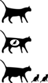 Free Stock Photo: Illustration of cat icons