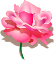 Free Stock Photo: Illustration of a pink rose