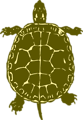 Free Stock Photo: Illustration of a turtle