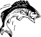Free Stock Photo: Illustration of a jumping fish