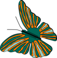 Free Stock Photo: Illustration of a butterfly