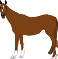 Free Stock Photo: Illustration of a horse