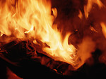 Free Stock Photo: Close-up of a burning flame