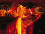 Free Stock Photo: Close-up of a burning flame